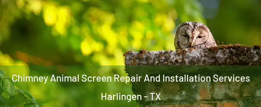  Chimney Animal Screen Repair And Installation Services Harlingen - TX