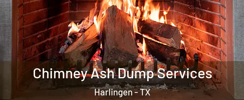  Chimney Ash Dump Services Harlingen - TX