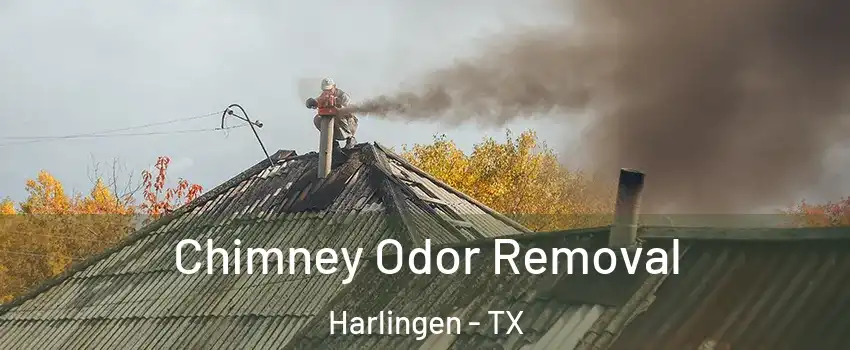  Chimney Odor Removal Harlingen - TX