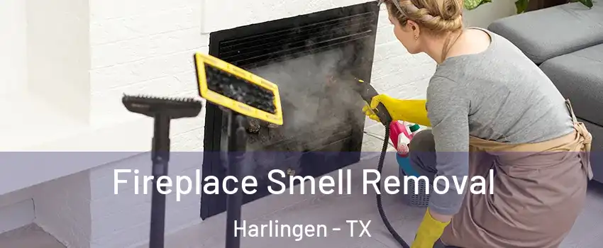 Fireplace Smell Removal Harlingen - TX