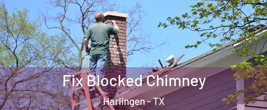  Fix Blocked Chimney Harlingen - TX