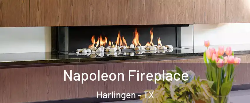  Napoleon Fireplace Harlingen - TX